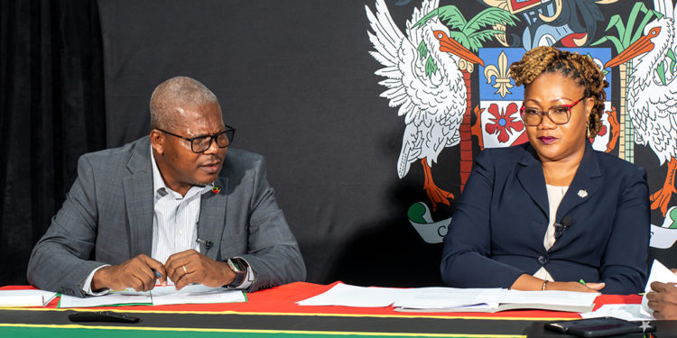 Contribution Option to New Pension Plan Ensures Equity and Sustainability
