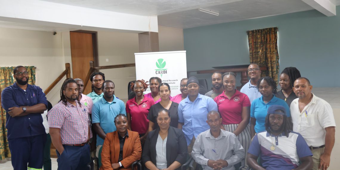St. Kitts Agriculture Department Partners with CARDI For Report Writing Capacity Building Workshop