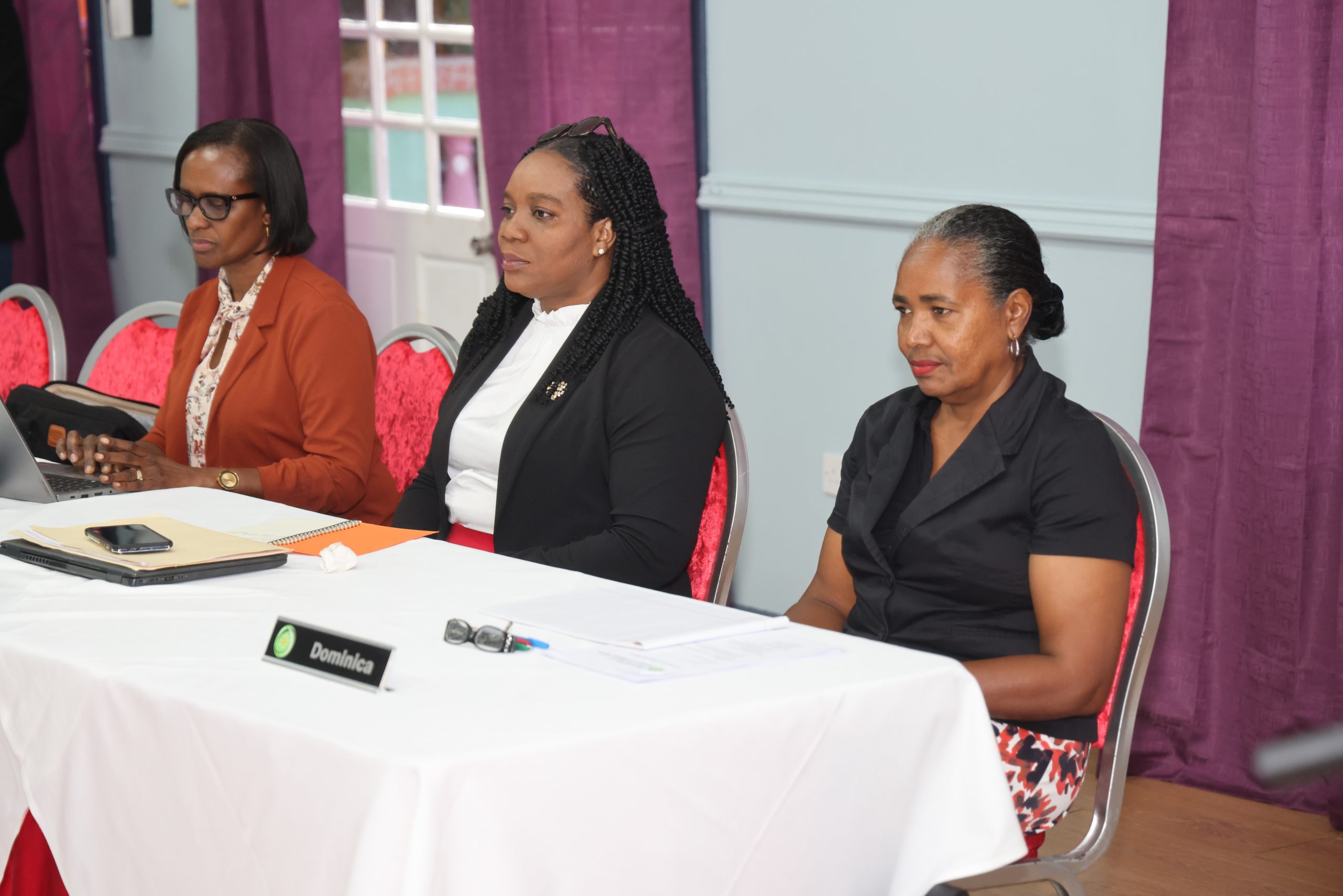 OECS and UNICEF Host Successful Regional Early Childhood Development Workshop