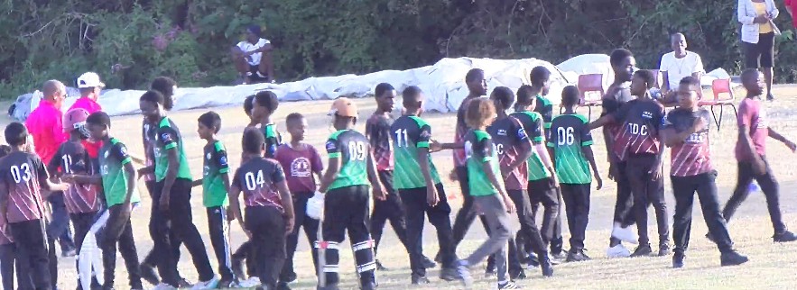 Cricket  :Exciting Matches Continue In Primary Schools Tournament