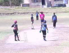 Update on Primary Schools Cricket Tournament