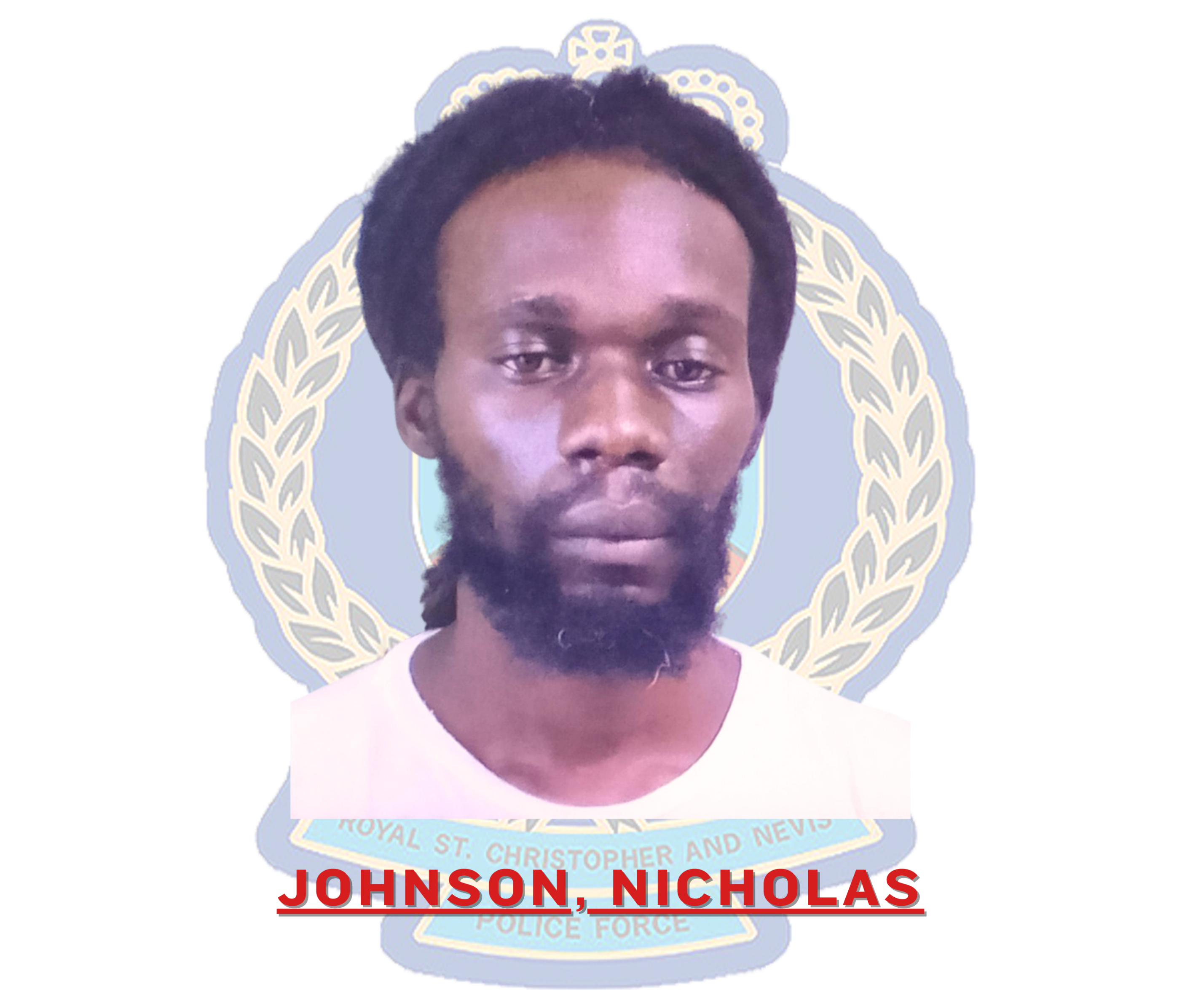 Eight Charges Laid Against Nicholas Johnson in Pond’s Pasture Shooting