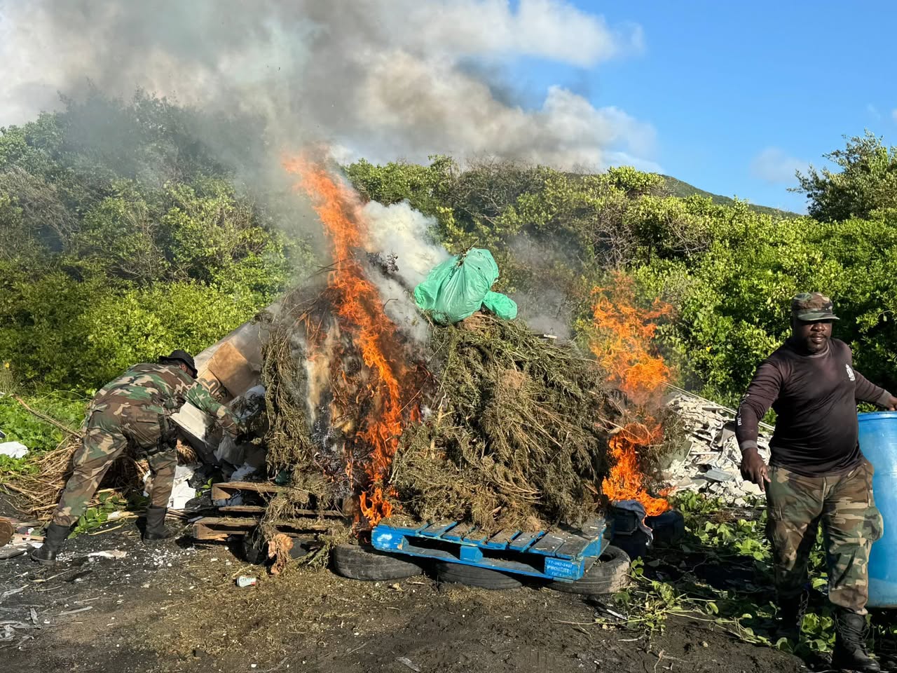 RSCNPF Conducts Major Cannabis Destruction Exercise