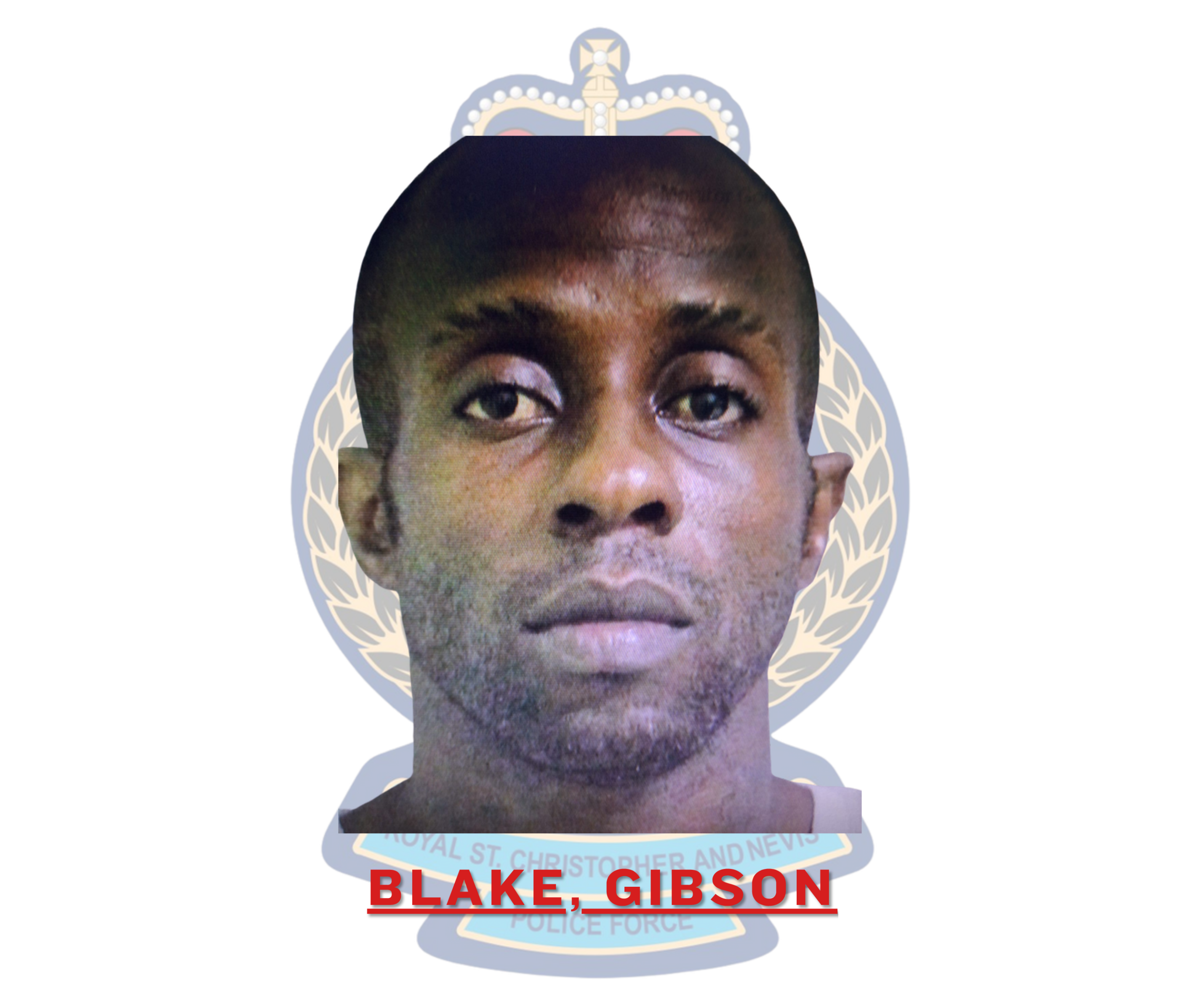 Gibson Blake Sentenced for House Breaking and Larceny