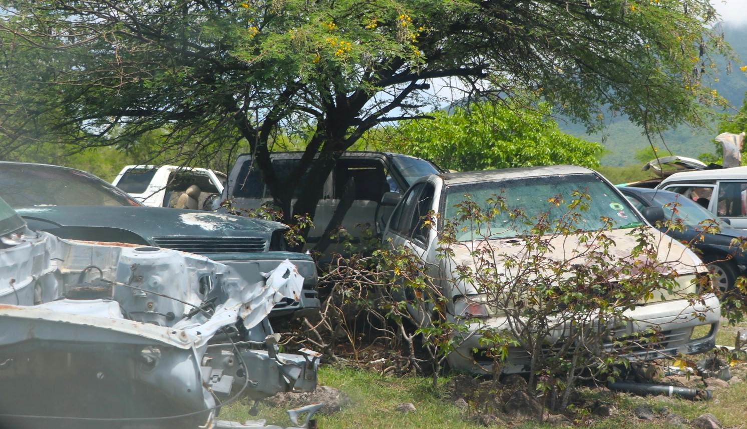 NIA Moves to Crush and Export Derelict Vehicles in Push to Protect Health, Safety, and Environment