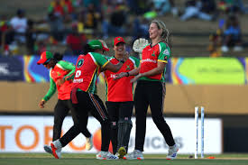 WPCPL Cricket : Penfold, Taylor Star as Warriors Seal Final Spot