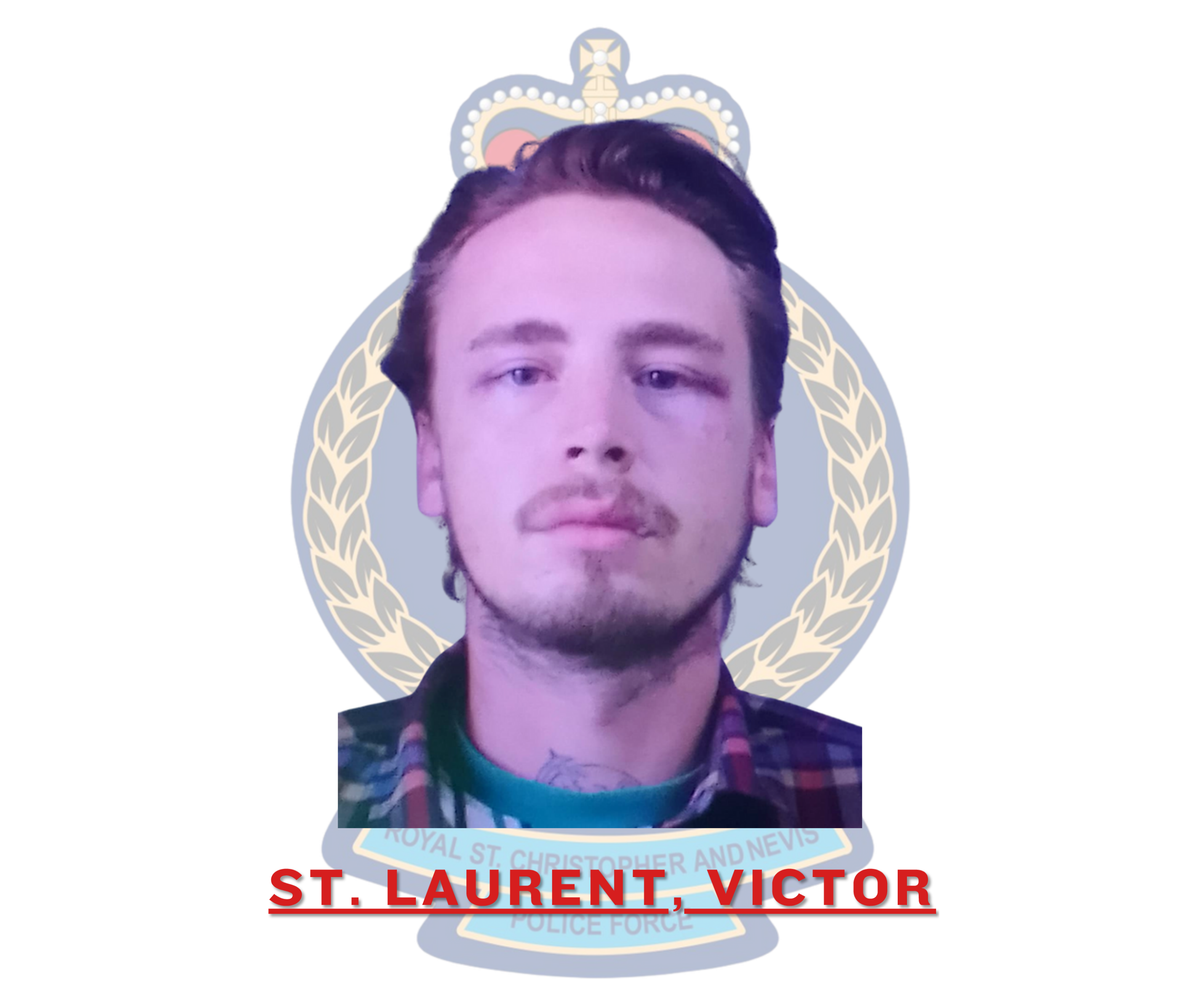 Victor St. Laurent Fined for Trespassing and Resisting Arrest