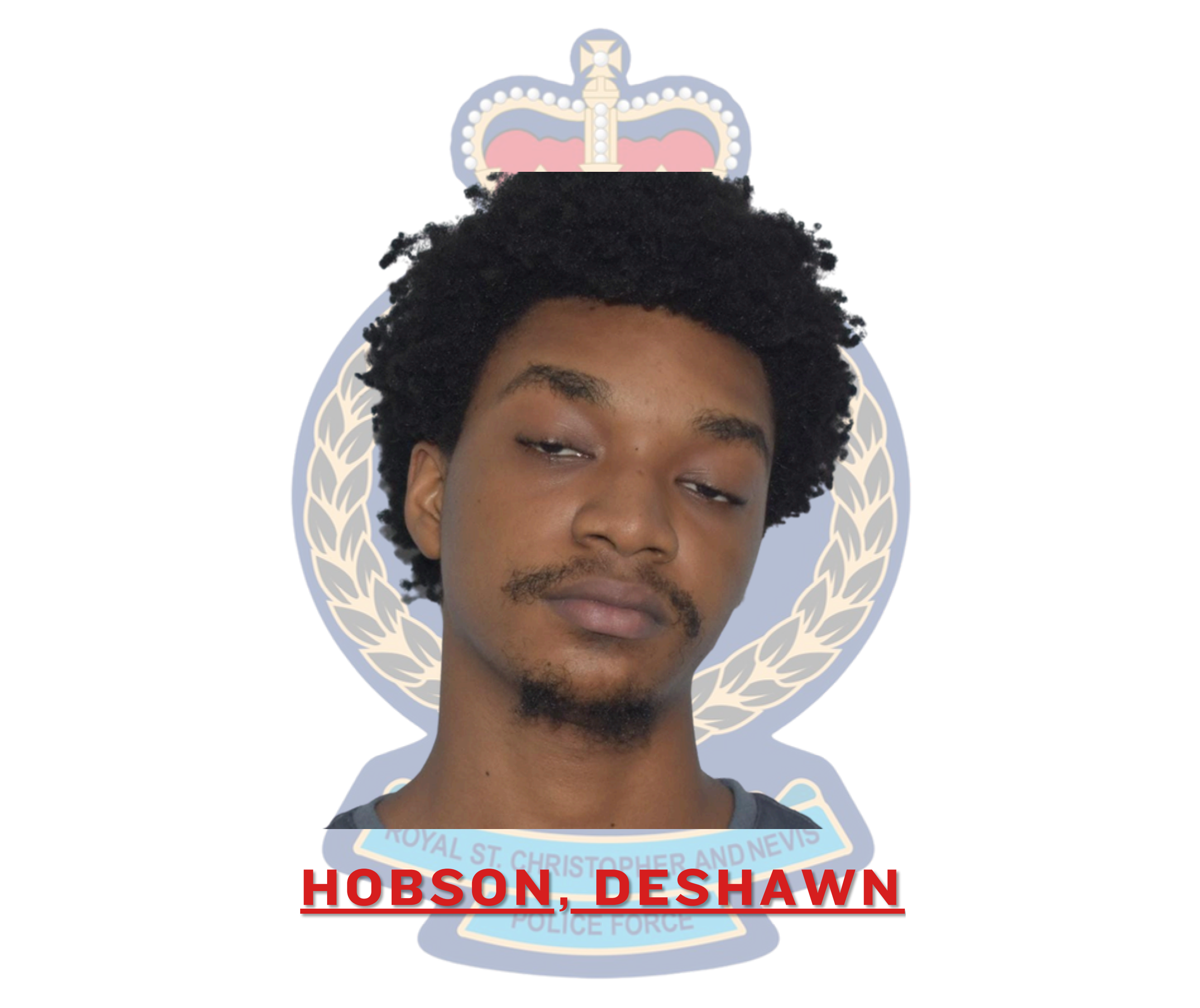 Deshawn Hobson Charged with Traffic Offences