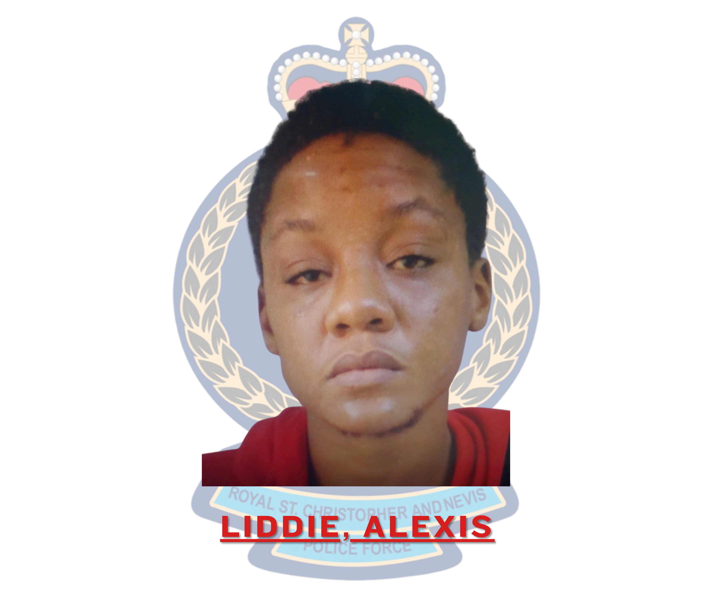 Alexis Liddie Sentenced to Prison for Multiple Offences