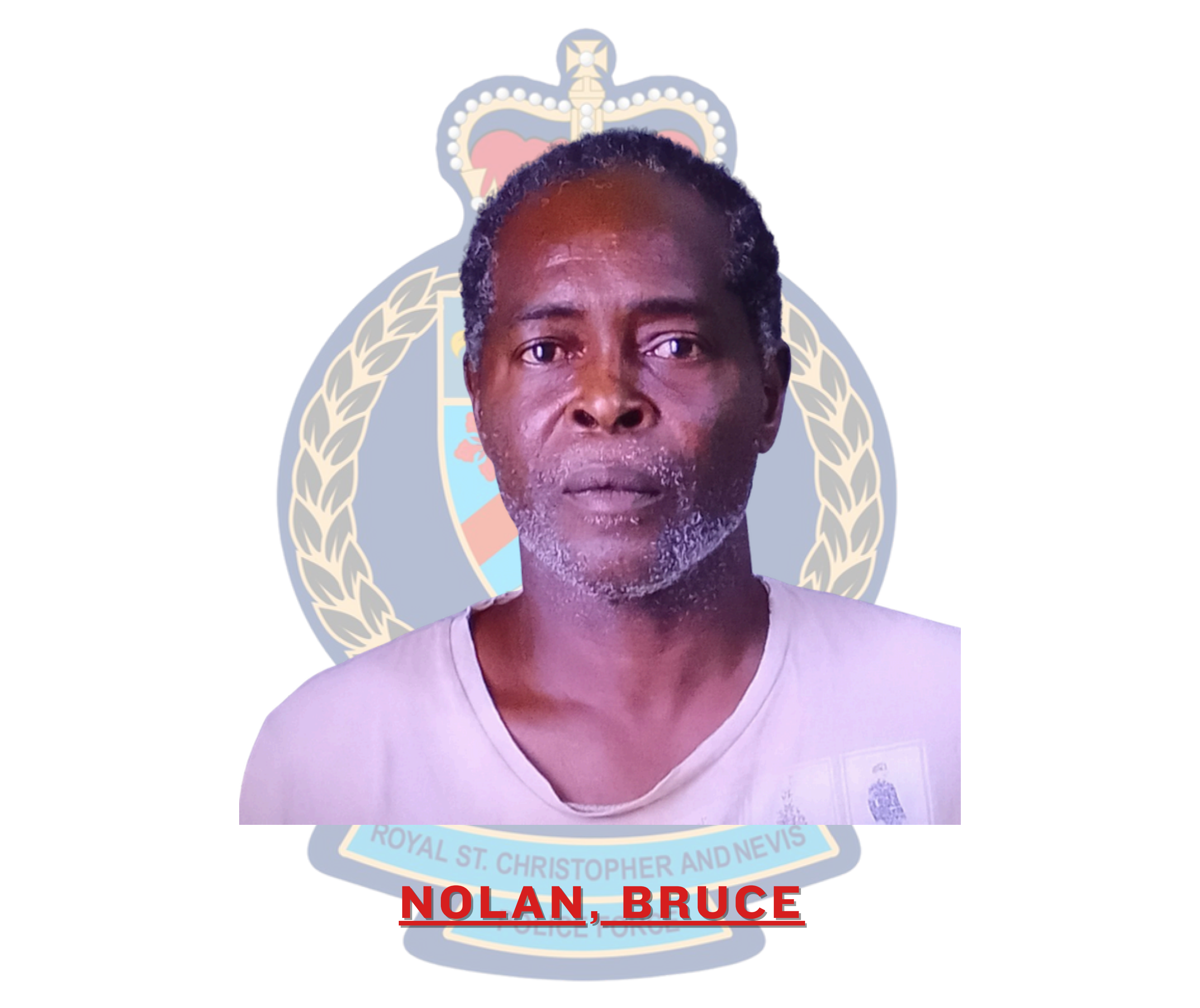 Bruce Nolan Convicted and Fined for Cocaine Offences