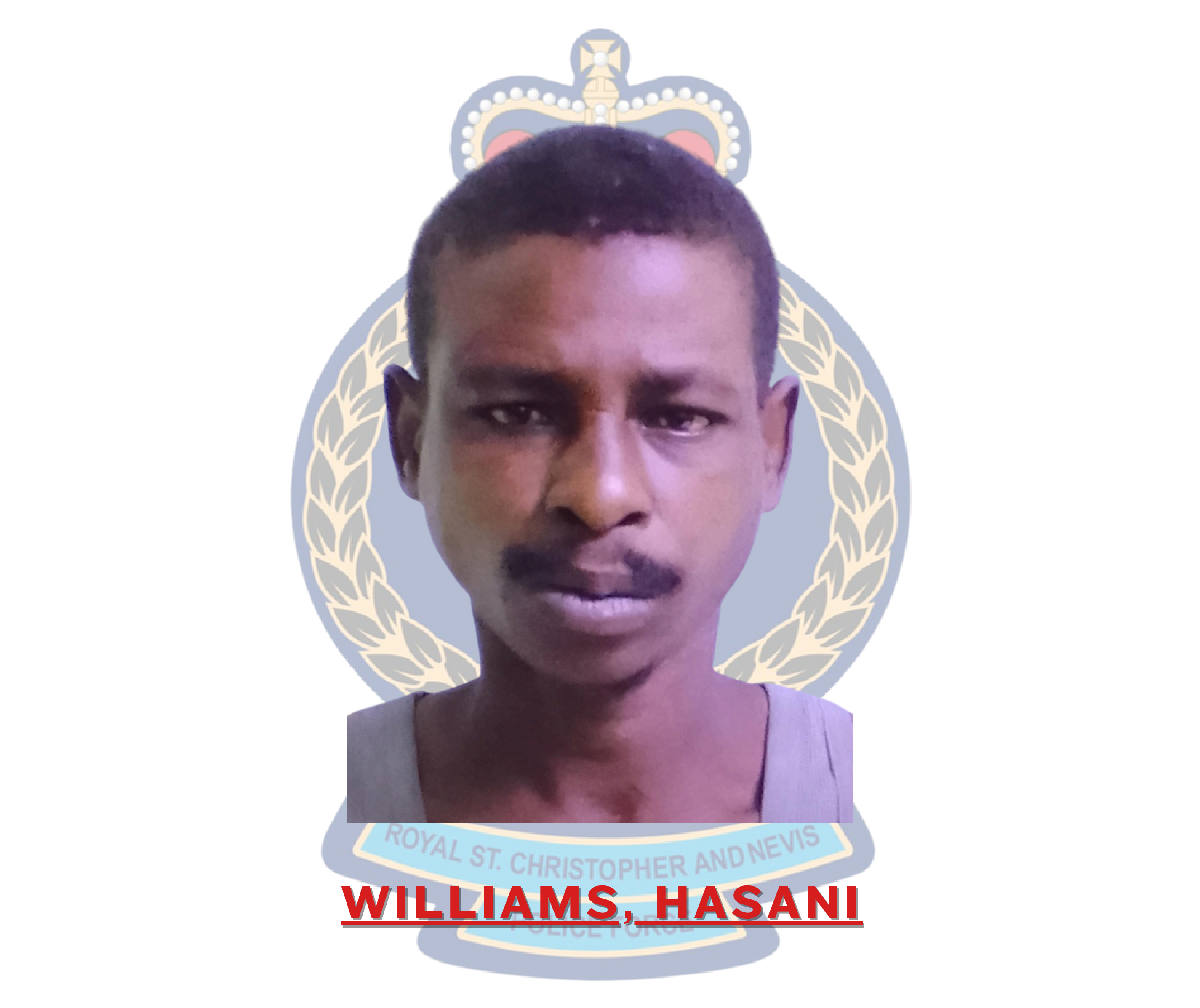 Hasani Williams Charged with Simple Larceny