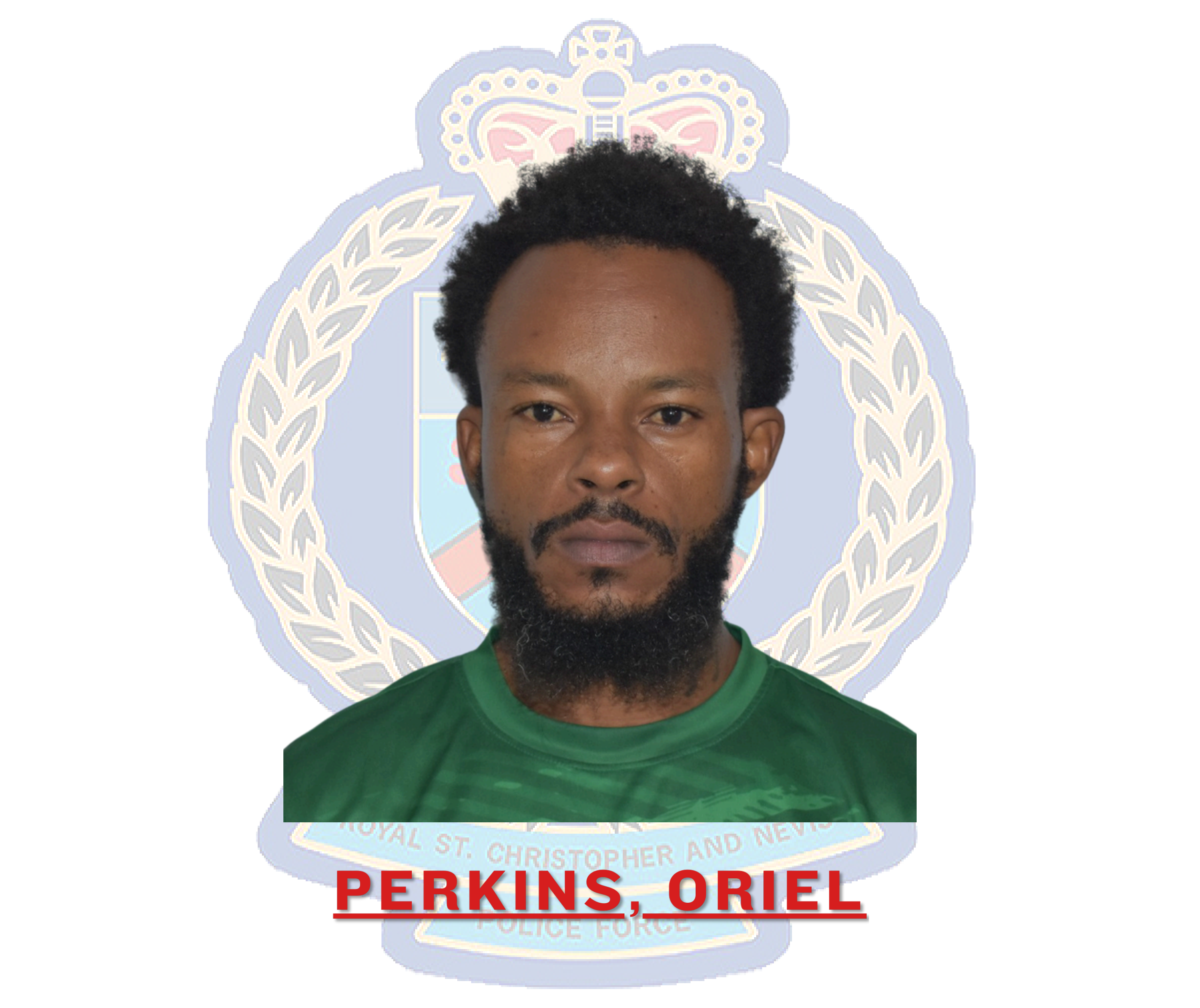Oriel Perkins Fined for Cannabis Offences