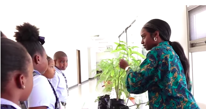 First-Ever Eco Day on Nevis Showcases Island’s Commitment to Sustainability