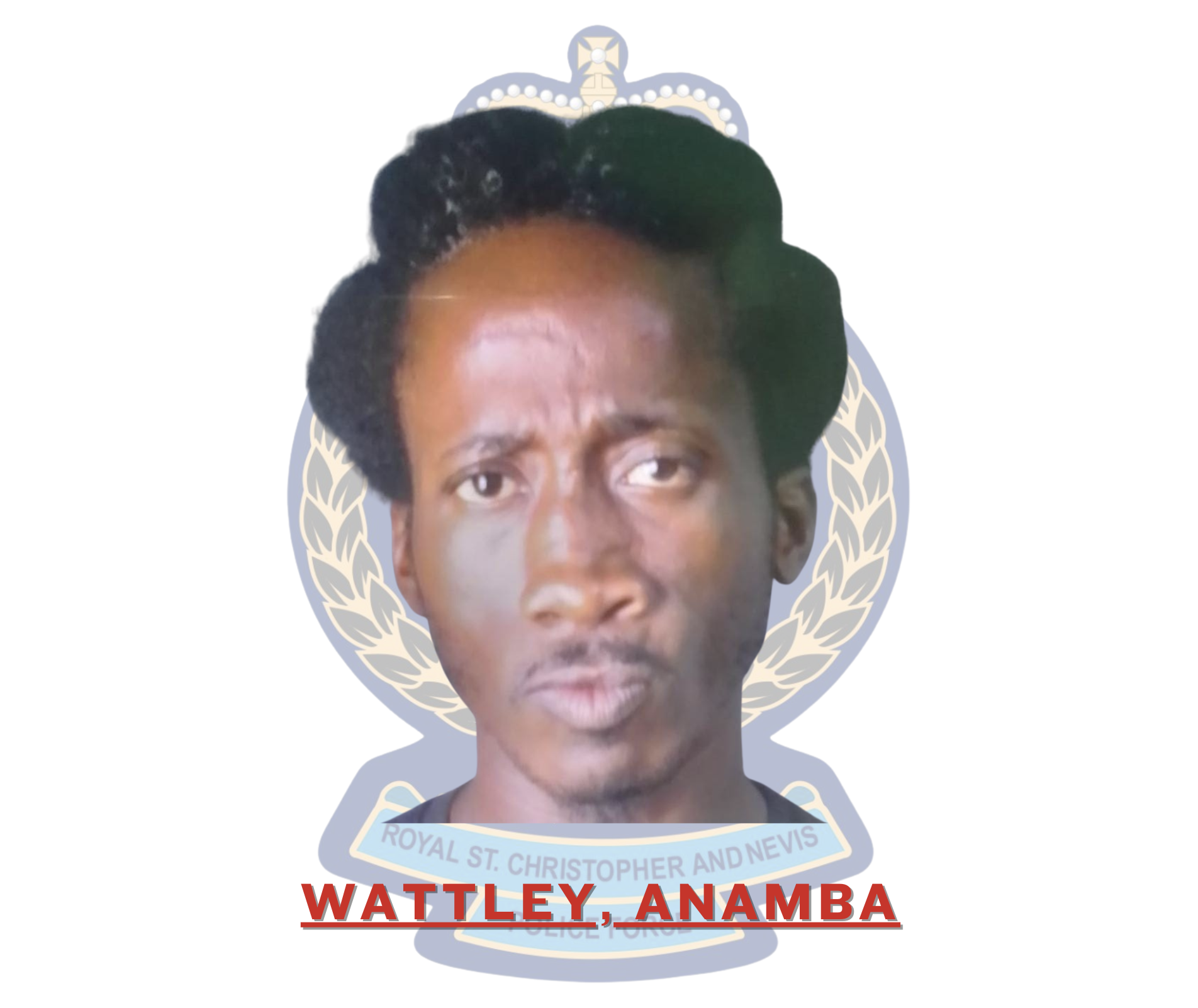 Multiple Charges Laid Against Anamba Wattley