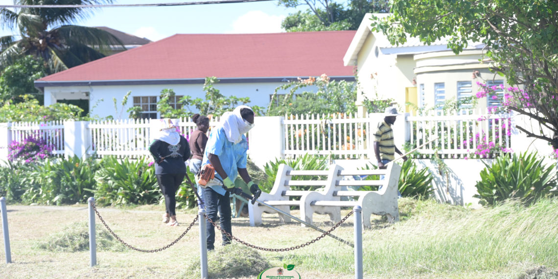 Department of Constituency Empowerment Leads Carnival Cleanup Ahead of the Launch of its 2026 Environment for Everyone Campaign