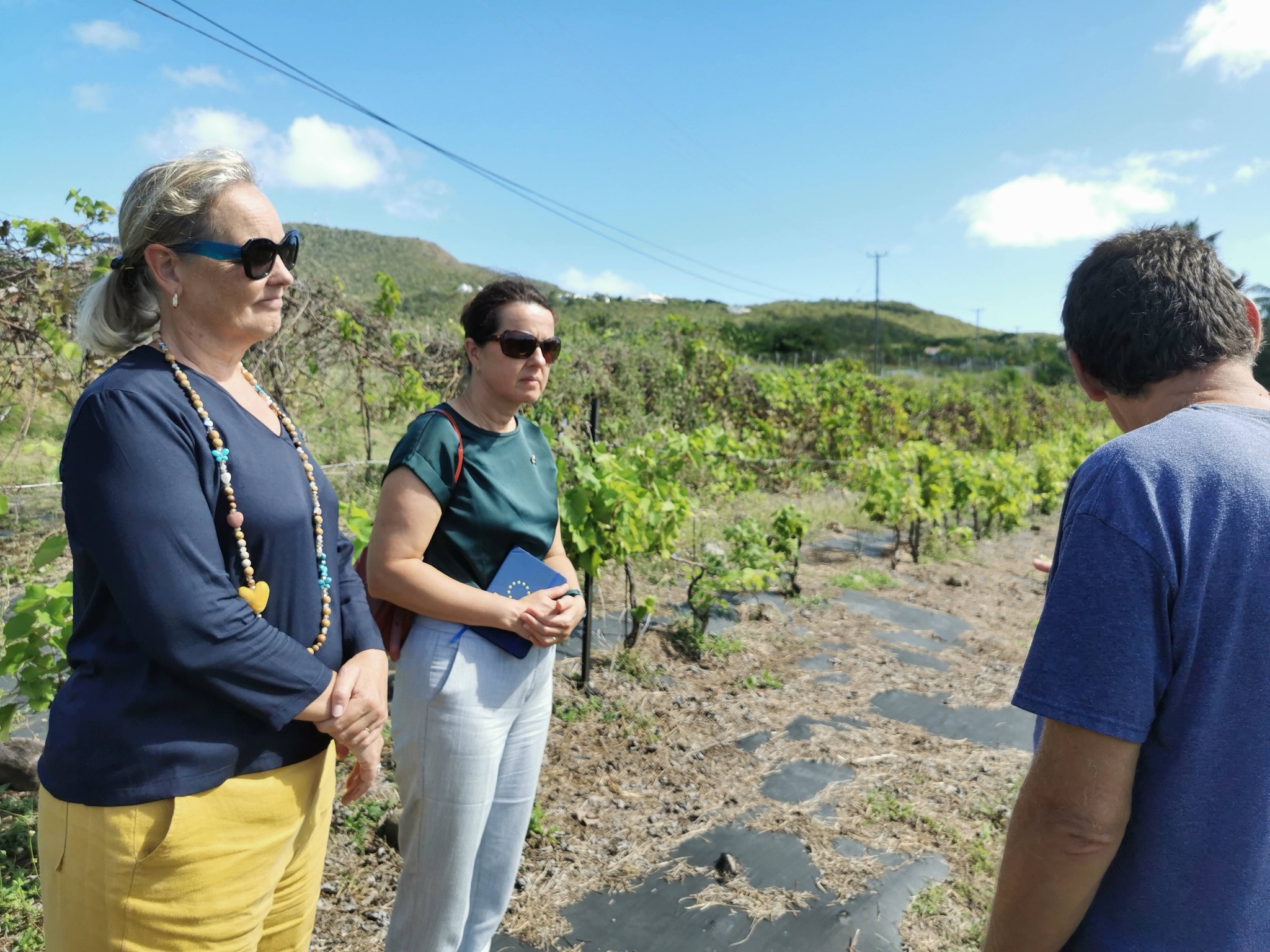 EU Ambassador Pays Courtesy Call to Nevis Vineyard