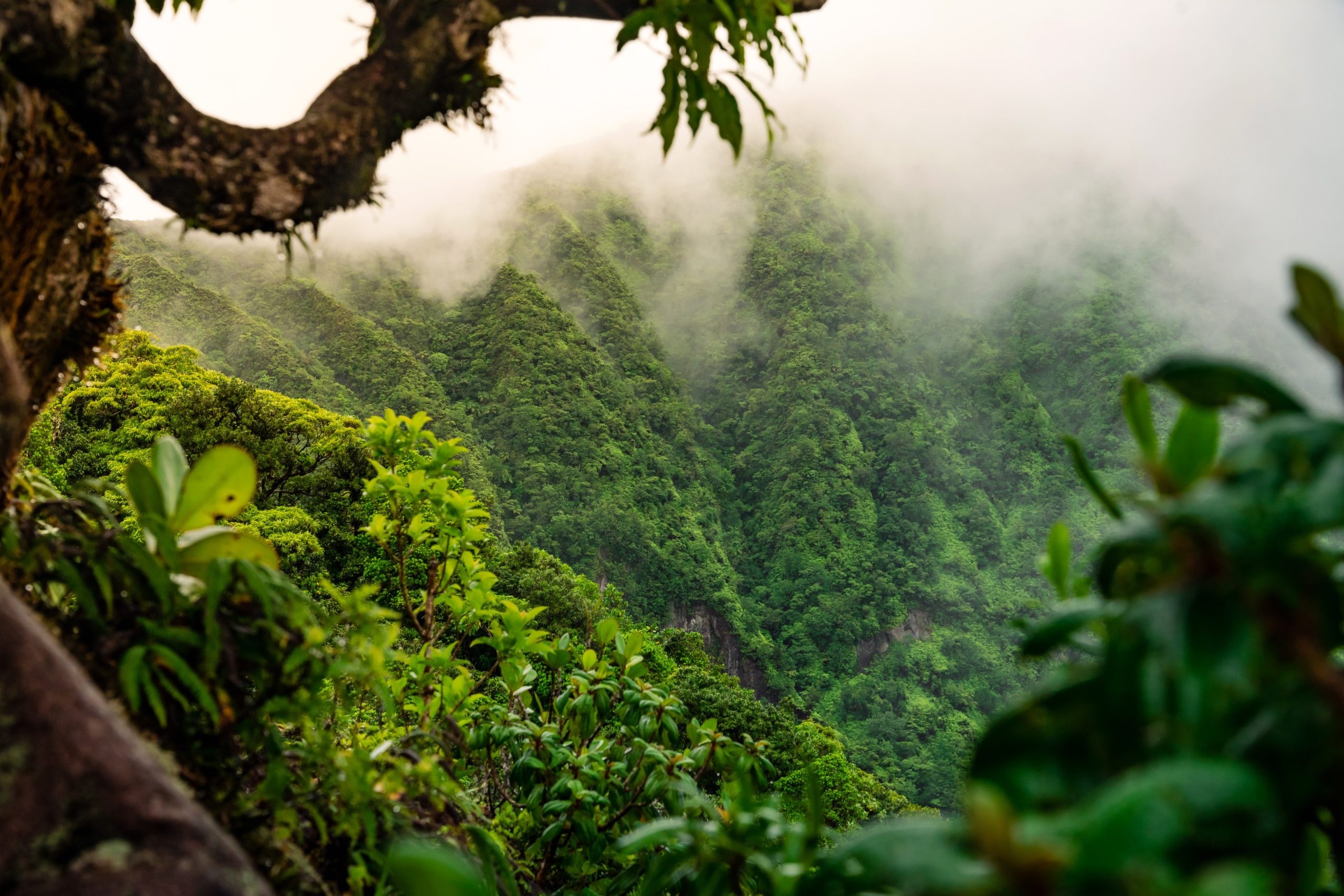 St. Kitts Receives Double Honors at  Caribbean Journal’s  2026 Caribbean Travel Awards