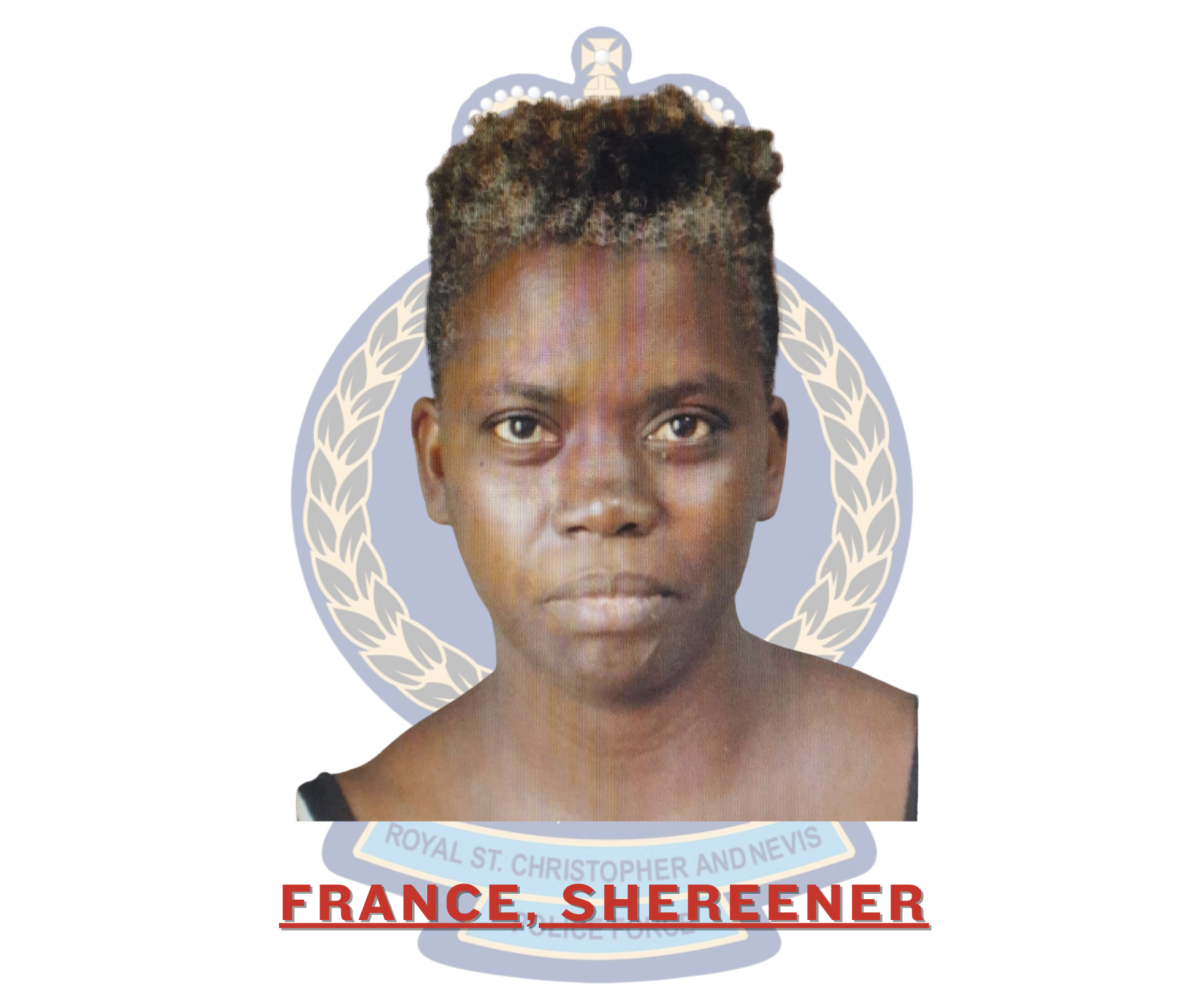 Shereener France Charged with Battery and Obstruction