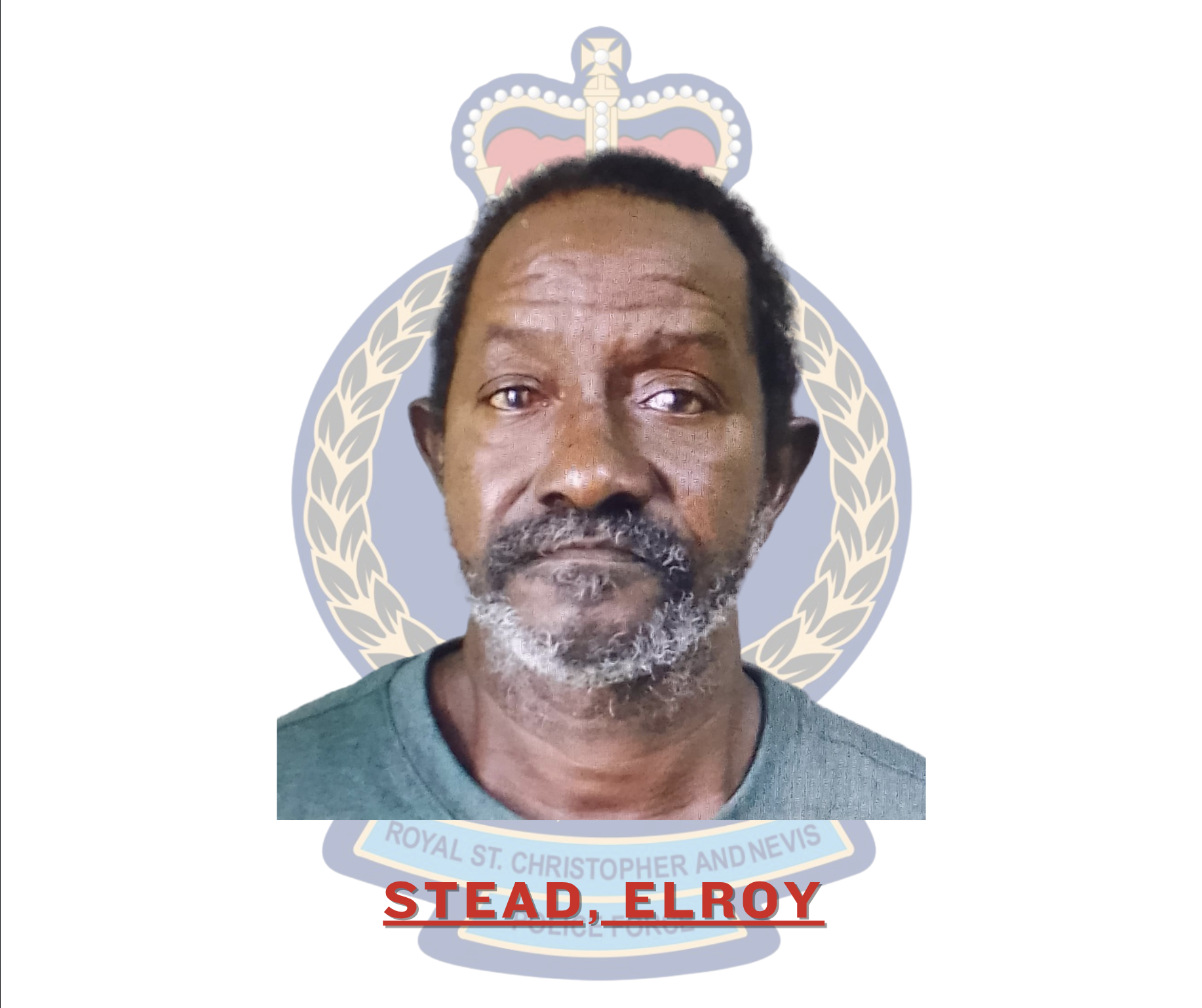 Elroy Stead Charged with Larceny