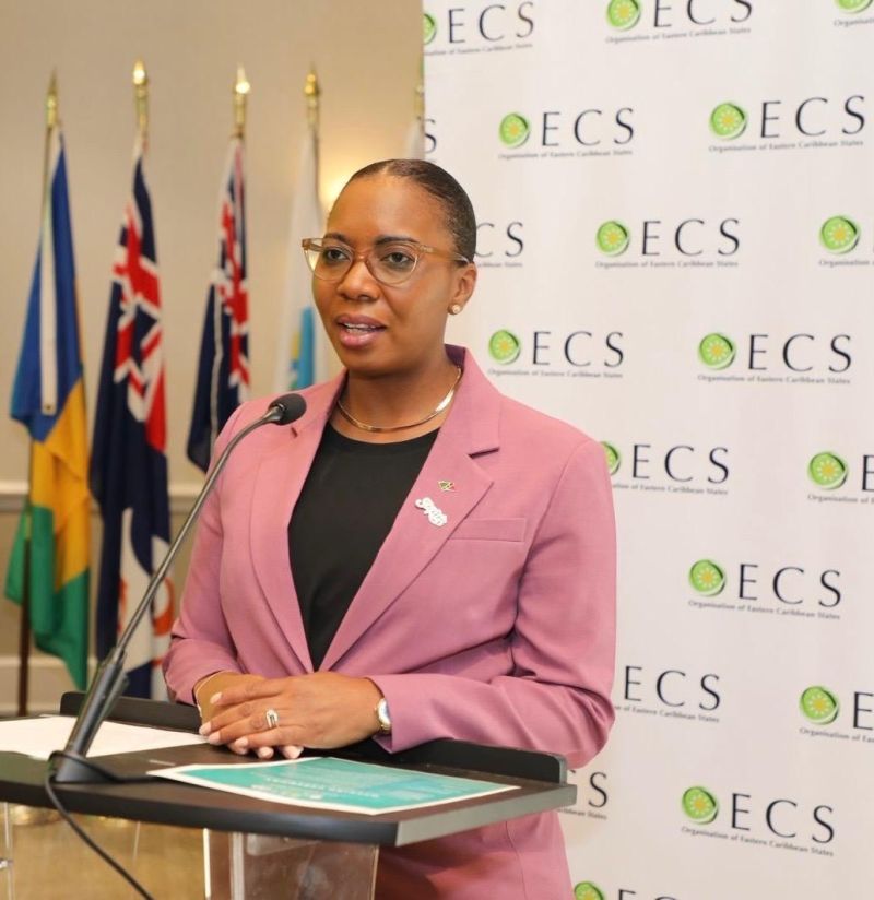 Melnecia Marshall Chairs 9th Council of Ministers of Tourism Meeting in St. Kitts