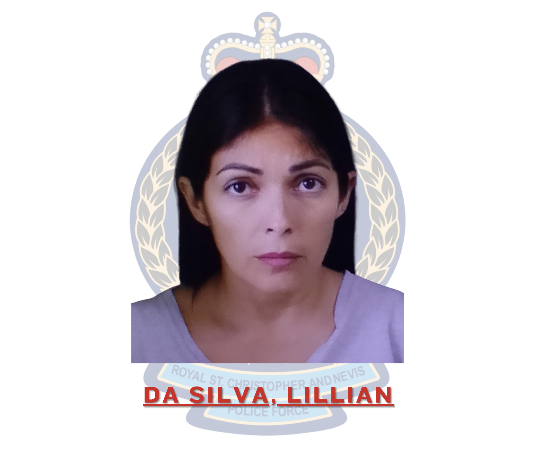 Lillian Da Silva Charged with Money Laundering and Fraud