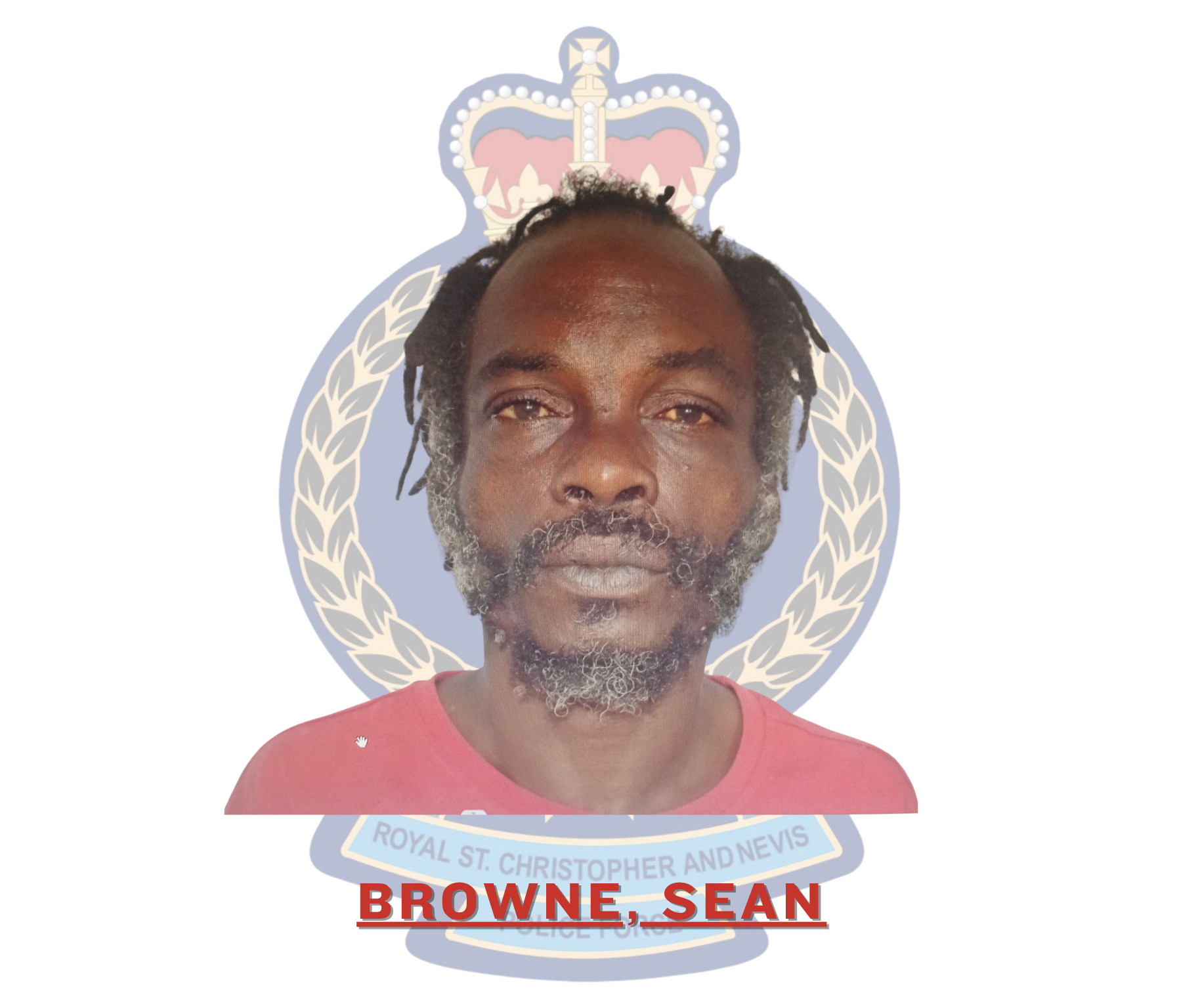 Sean Browne Sentenced for Malicious Damage and Larceny
