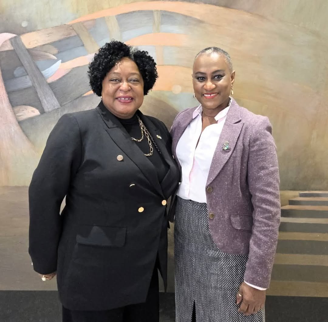 Ambassador Henry-Martin meets with Inter-American Commission on Human Rights Commissioner