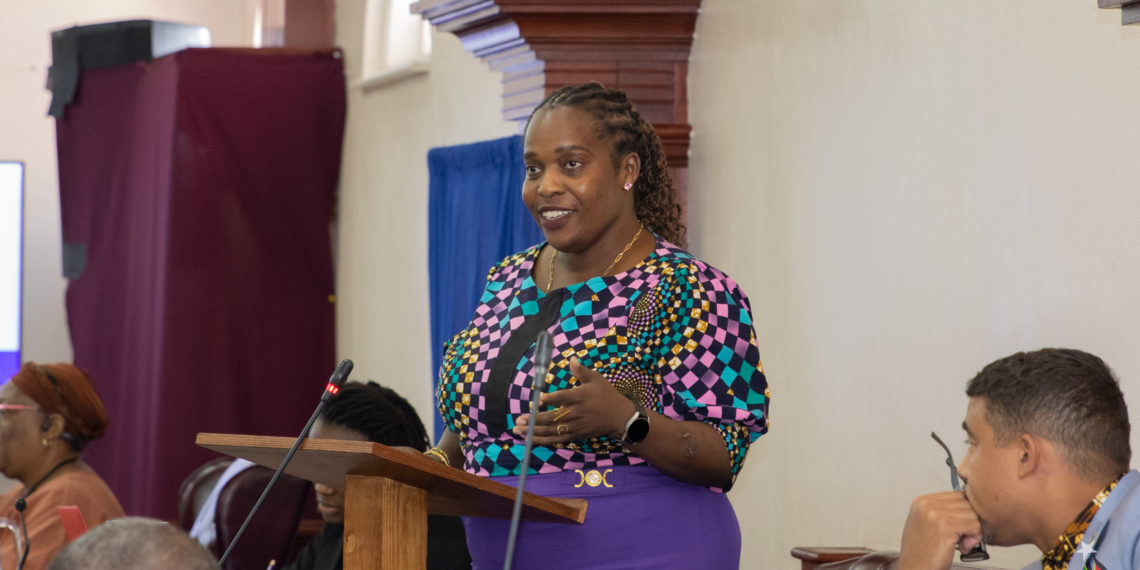 Minister Clarke Provides Update on Land Transition Programme and Access to Residential Lots