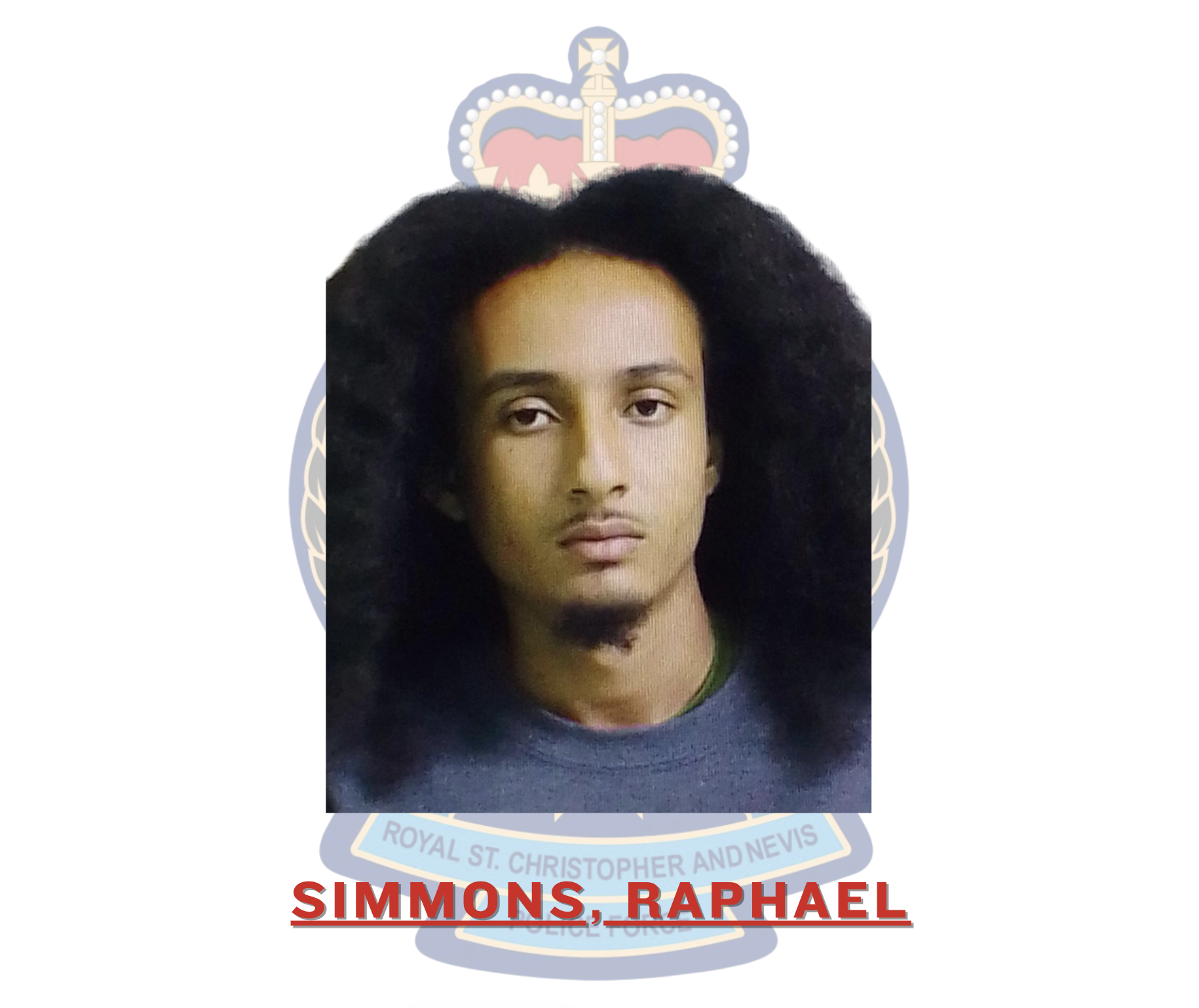 Multiple Larceny Charges Laid Against Raphael Simmons