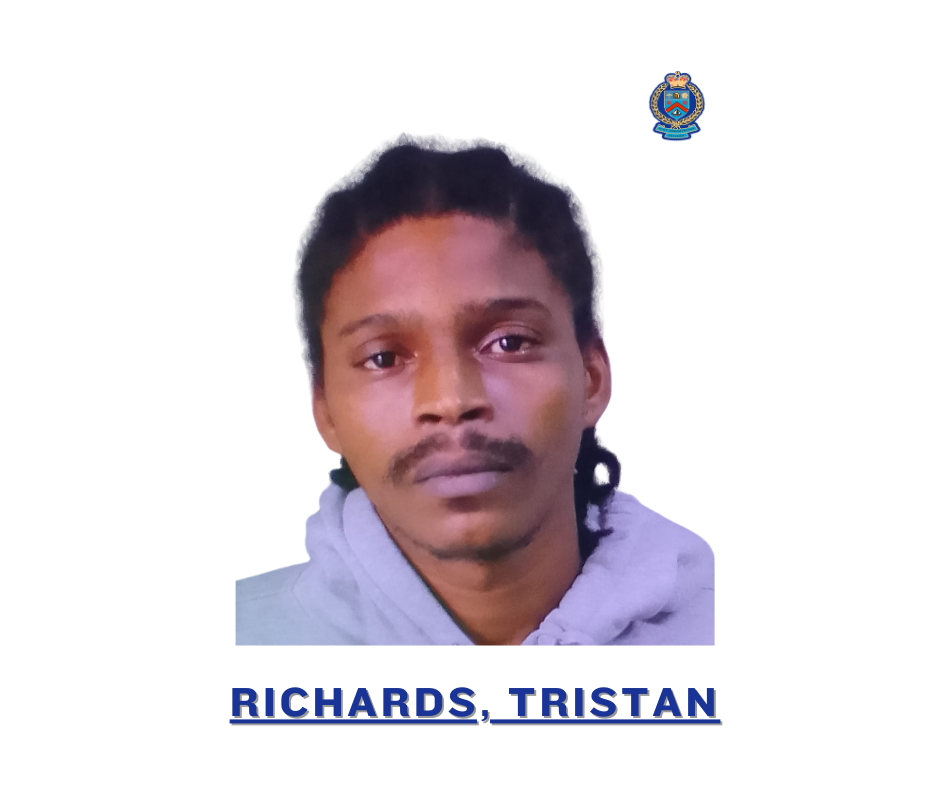 Tristan Richards Sentenced for Firearm and  Ammunition Offences