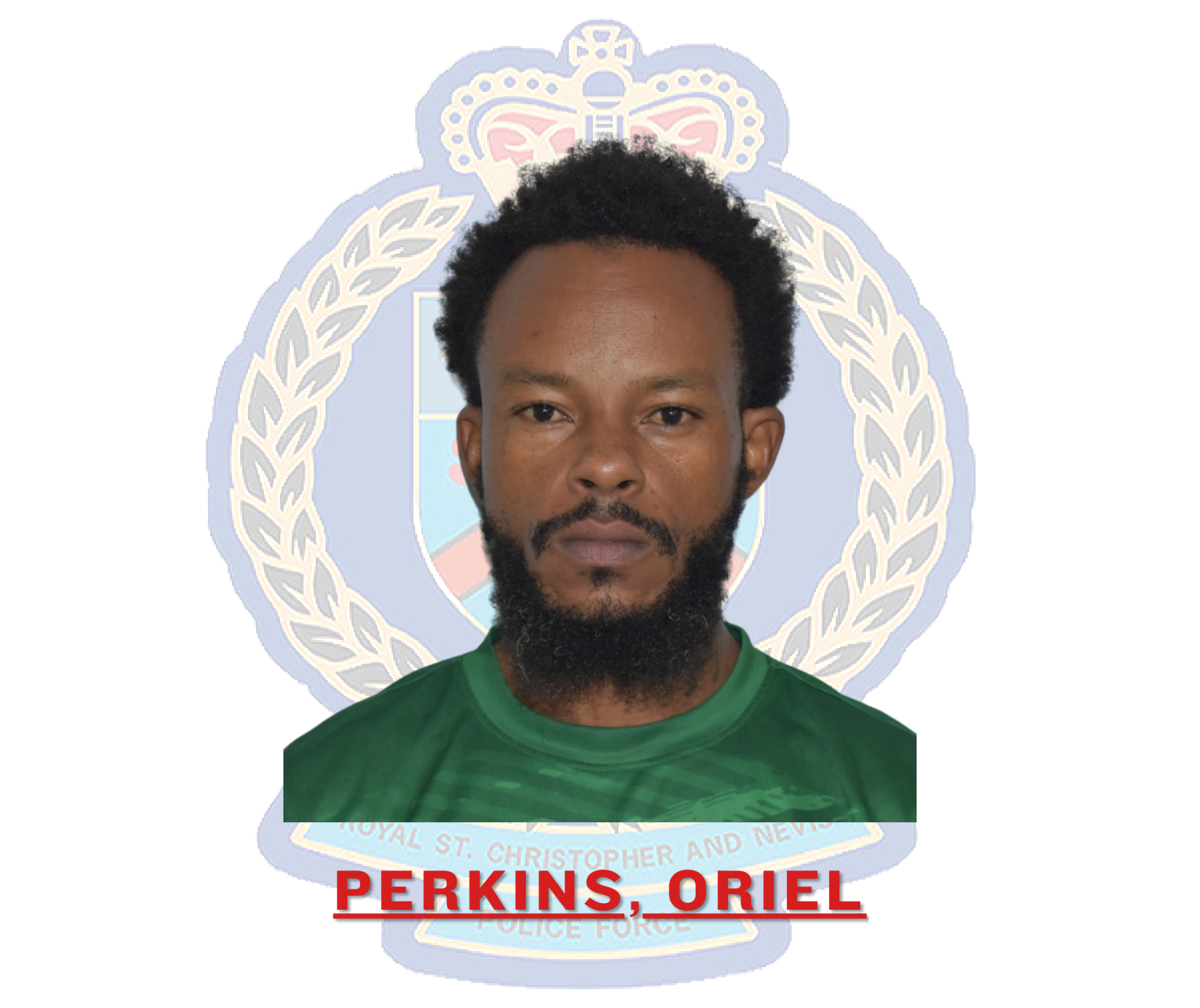 Oriel Perkins Charged for Multiple Offences