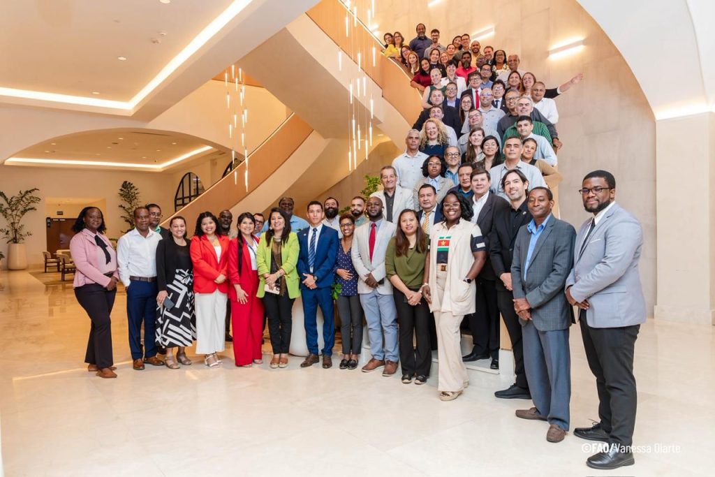 Regional Capacity Building and Peer Exchange on the 2026 UNCCD National Reporting for Latin America and the Caribbean