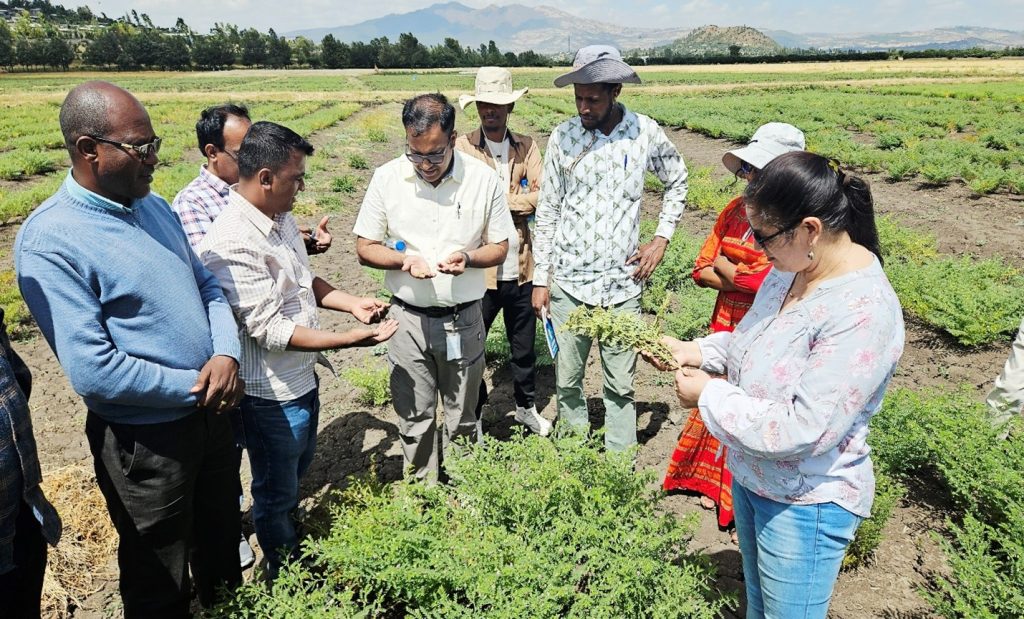 Plant Health for Food Security: ICRISAT’s Integrated Approach to Grain Legume Disease Management