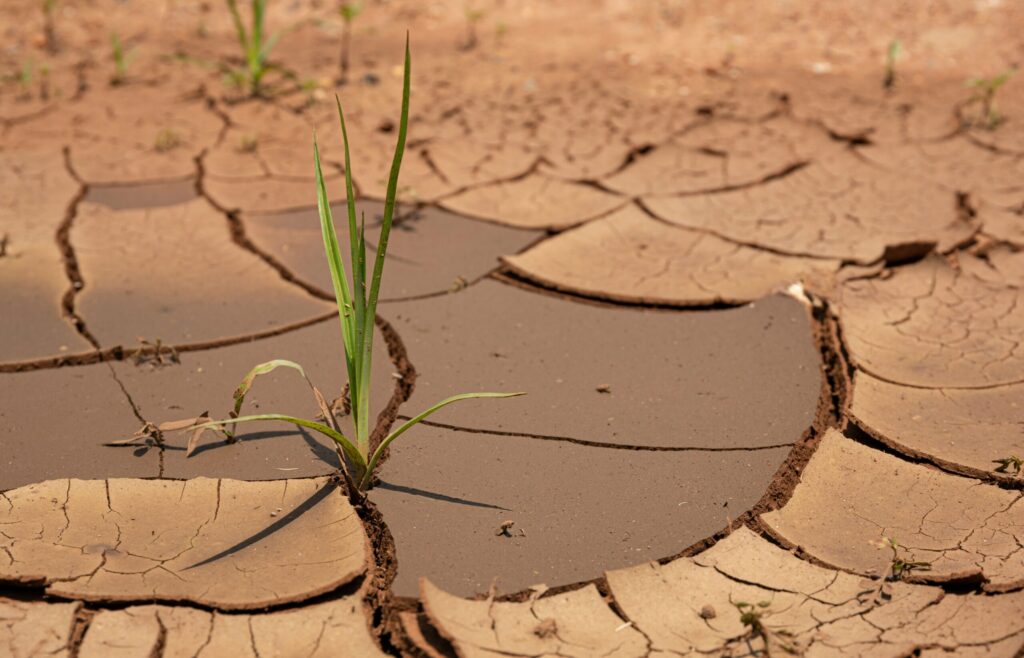 St Kitts and  Nevis Under  Drought  Warning Amid  Below -Normal Rainfall Forecast