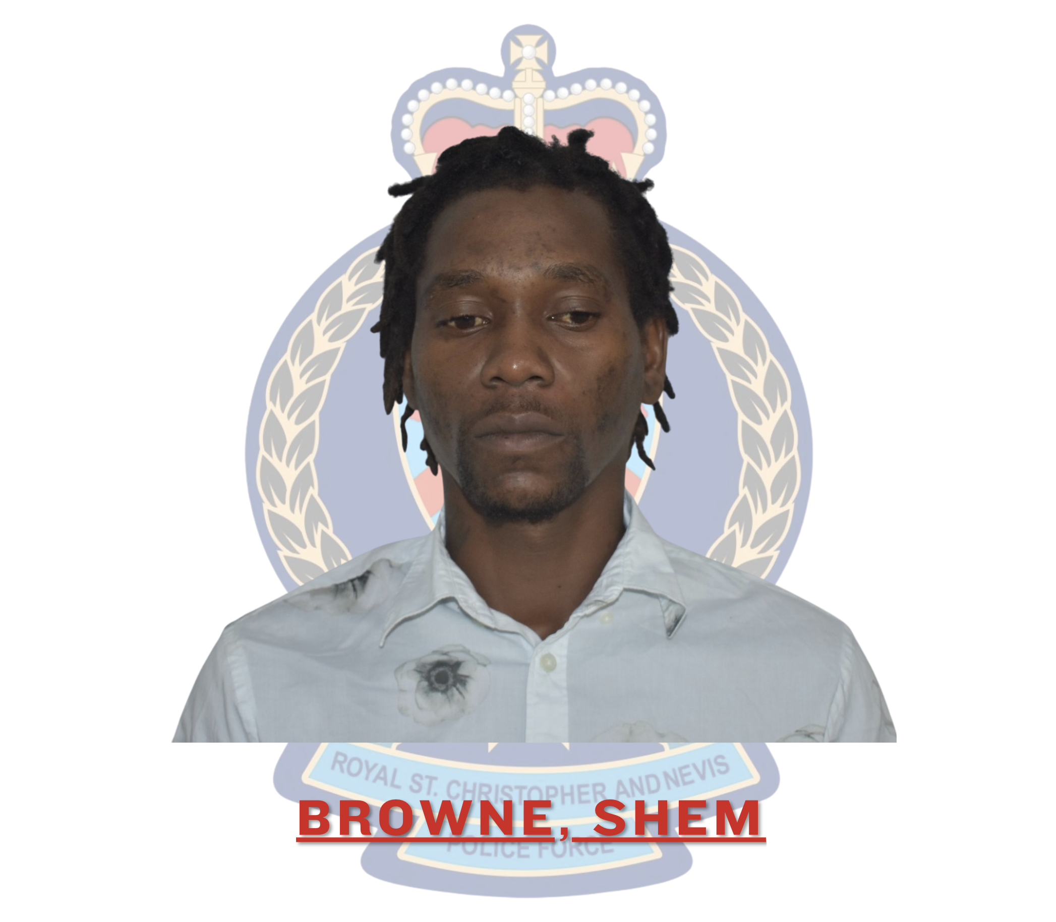 Multiple Traffic Offences Laid Against Shem Browne