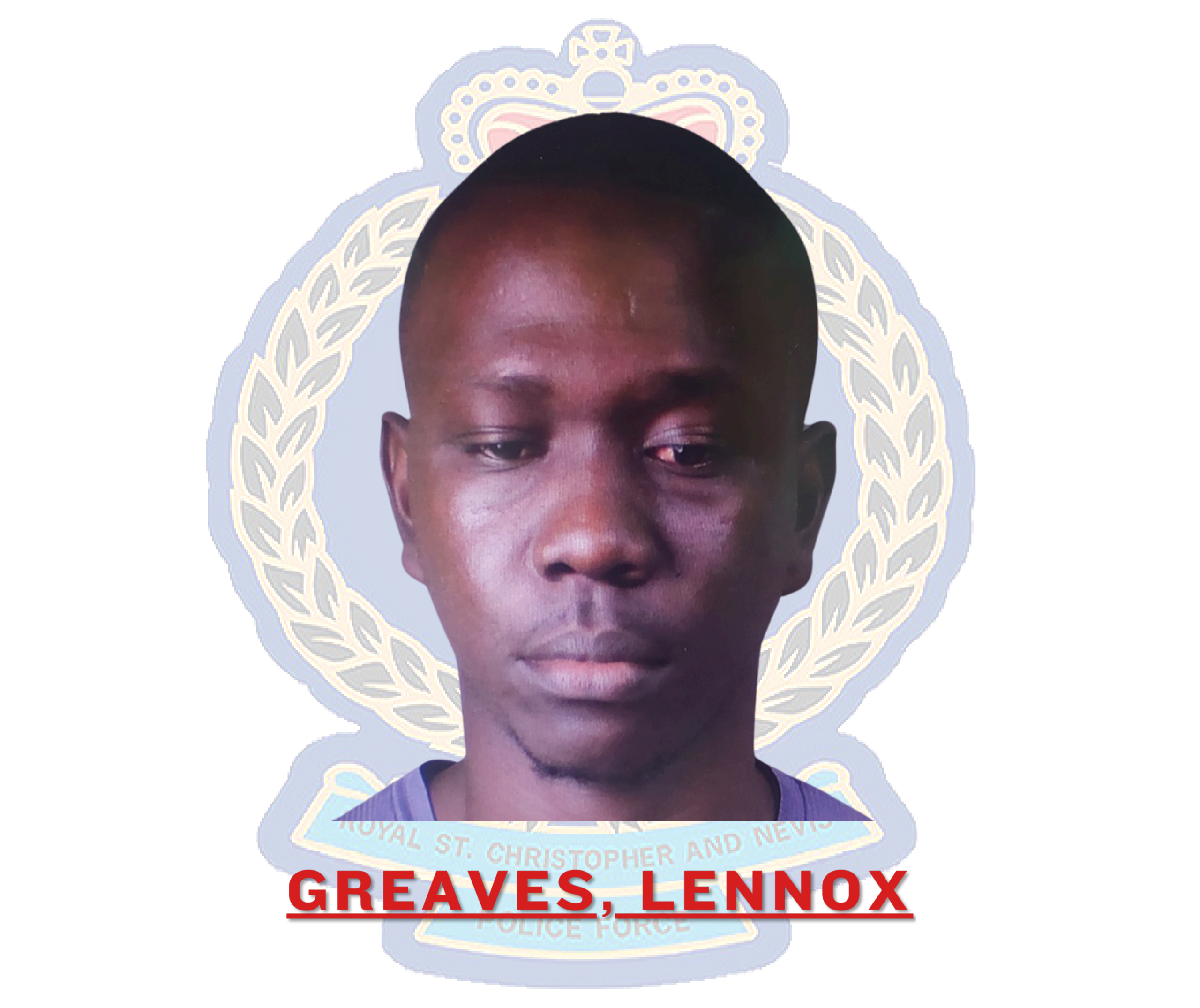 Lennox Greaves Sentenced for Causing Death by Careless Driving