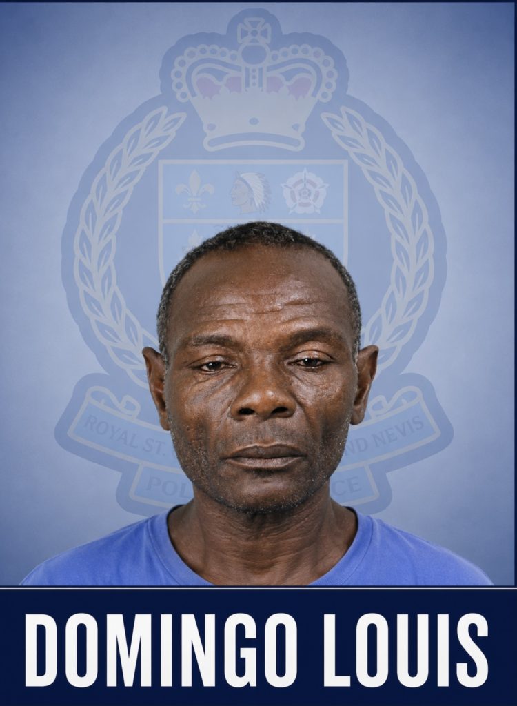 Domingo Louis Charged with Larceny
