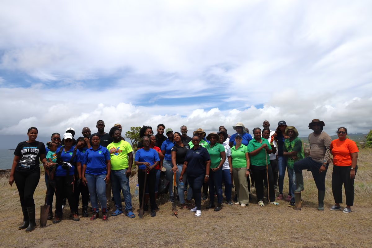 Fire-Prone Land at Point Vierge, Micoud, Benefited from Replanting Activity for OECS 45th Anniversary