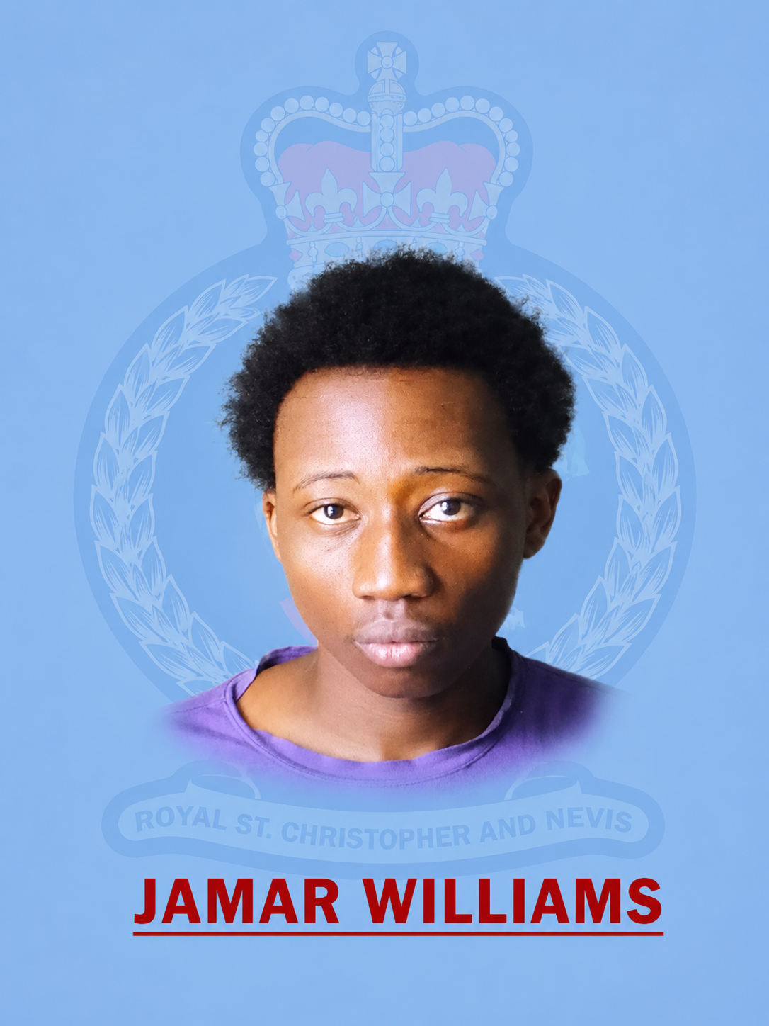 Jahmar Williams Charged with Two Larceny-Related Offences