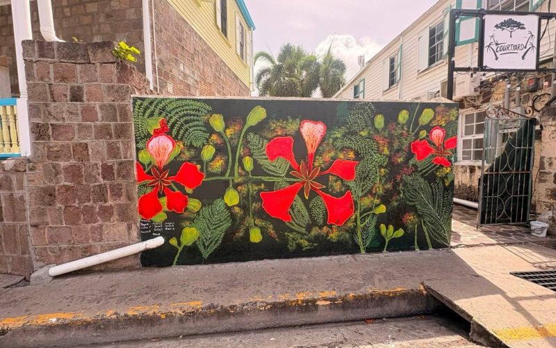 Nevis Pages Salutes Visual Arts Educator Ashira Hanley and Charlestown Secondary Students for Stunning New Town Mural