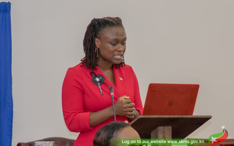 Online Platforms Enhancing Social Services Delivery in Saint Kitts and Nevis