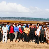 OECS Delegates Gather Sargassum Management Strategies Following Their French Territories Mission