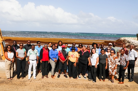 OECS Delegates Gather Sargassum Management Strategies Following Their French Territories Mission