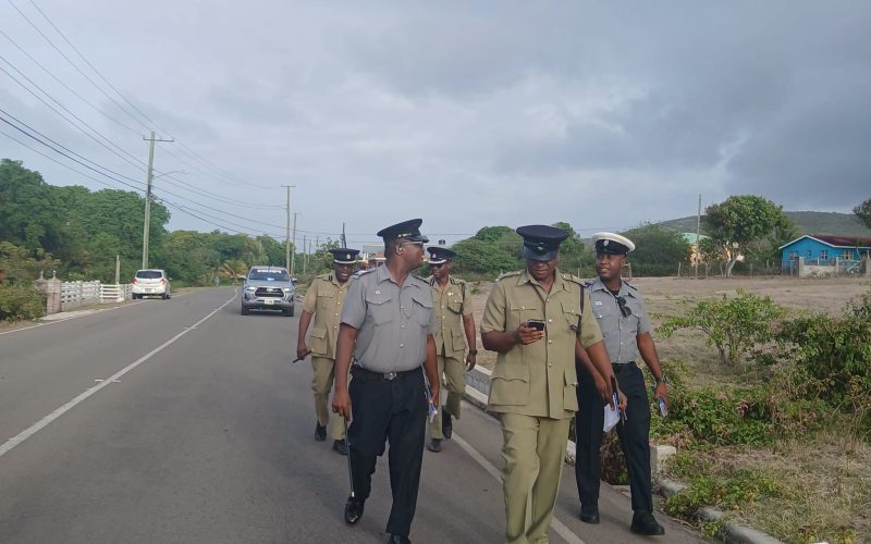 RSCNPF Takes to the Streets: New Castle Community Walk-Through