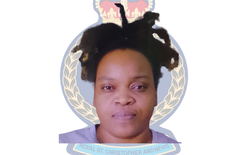 Multiple Charges Laid Against Treisha Boyles