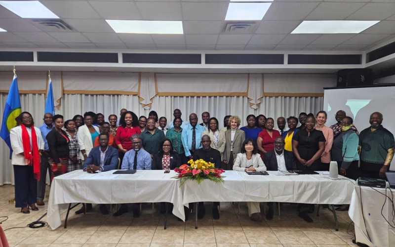 OECS, UNCTAD and ECLAC Advance Evidence-Based Trade in Services Policymaking Across the OECS