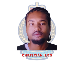 Multiple Charges Laid Against Leo Christian
