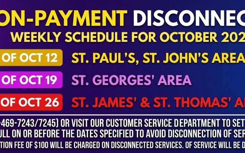 NEVLEC Announces Non-Payment Disconnection Schedule for October 2026