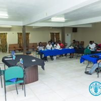 FAO Technical Mission Strengthens Protected Agriculture in St. Kitts and Nevis