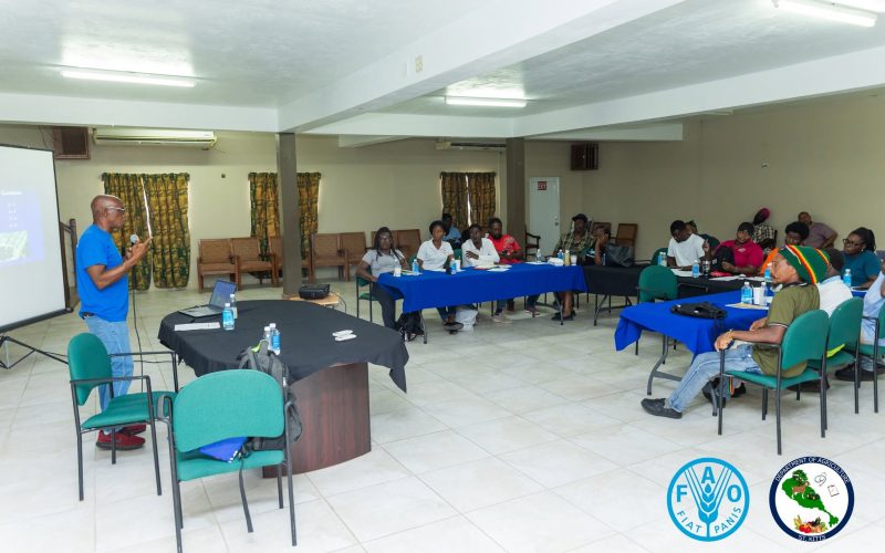 FAO Technical Mission Strengthens Protected Agriculture in St. Kitts and Nevis